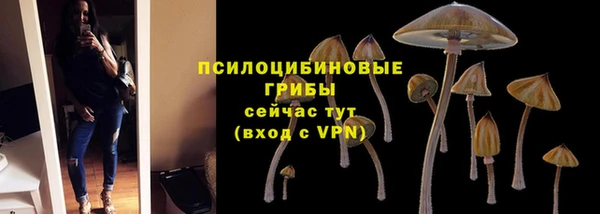 спиды Михайловка