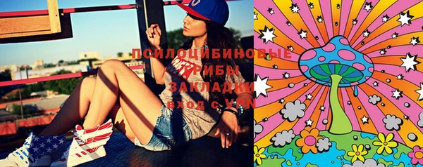 PSILOCYBIN Медвежьегорск