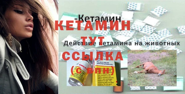 PSILOCYBIN Медвежьегорск